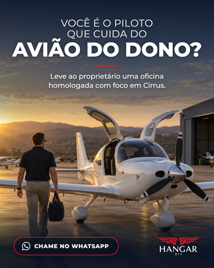 Você é o piloto que cuida do avião do dono?